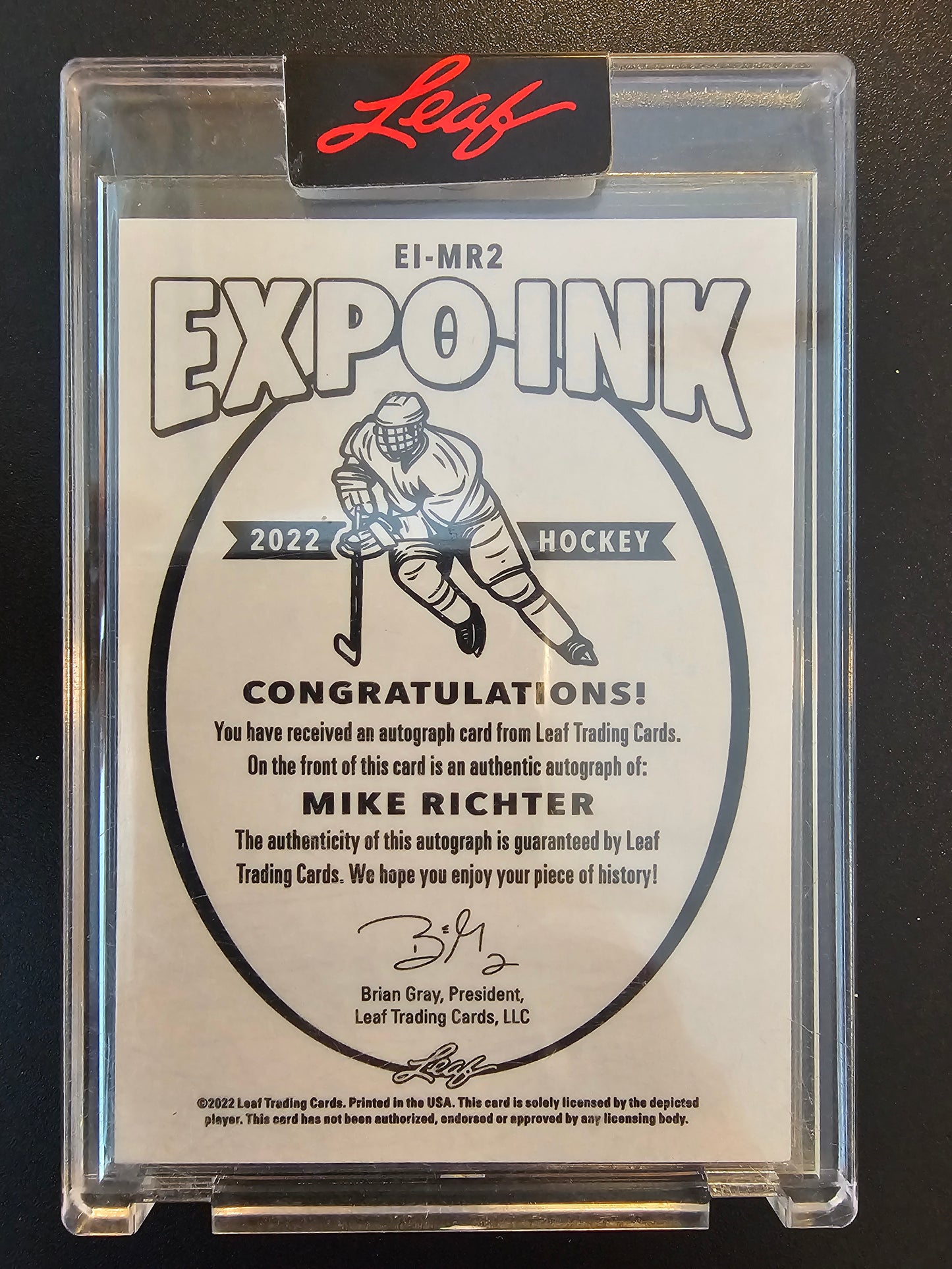 2022 Leaf Expo 2022 - Expo Ink Gray - Mike Richter #EI-MR2 1of1