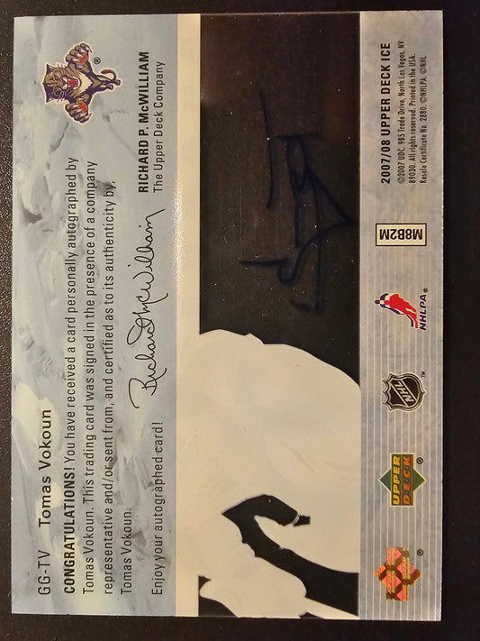 2007-08 Upper Deck Ice - Glacial Graphs - Tomas Vokoun #GG-TV