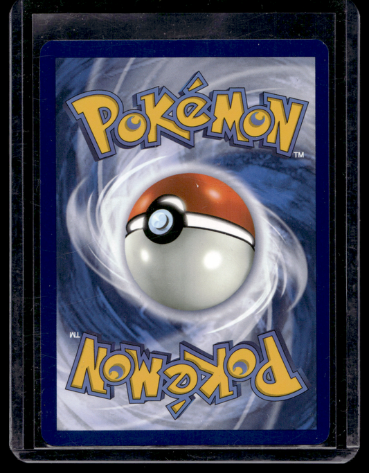 2025 Pokemon - Scarlet & Violet - Black Bolt - Illustration Rare - Tirtouga #106