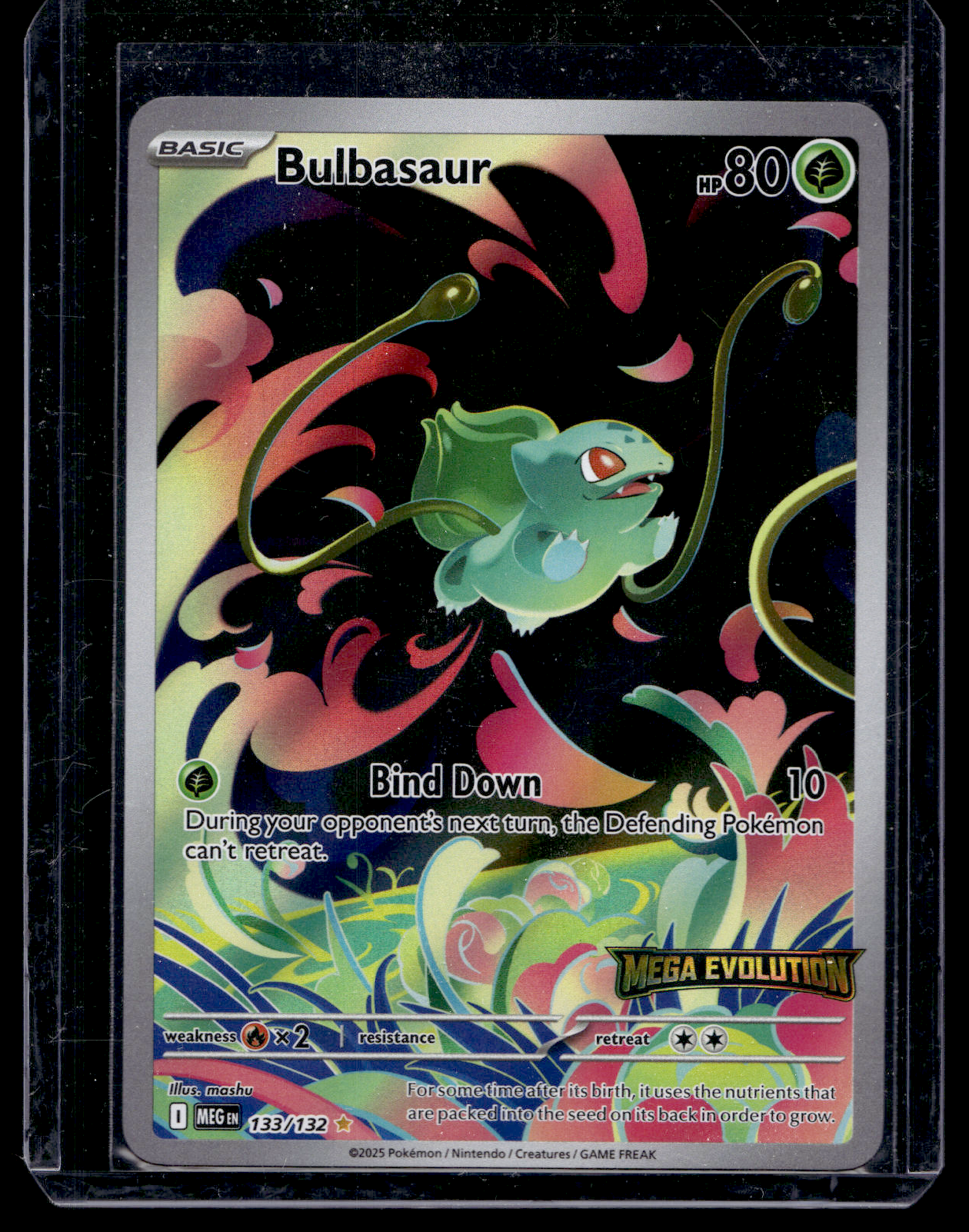2025 Pokemon - Mega Evolutions - Illustration Rare - Bulbasaur
