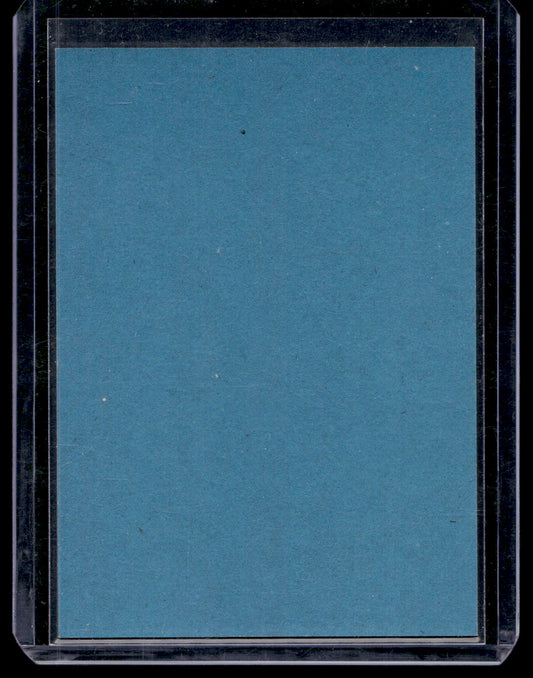 2009-10 O-Pee-Chee - Retro Blank Backs - Teppo Numminen #154