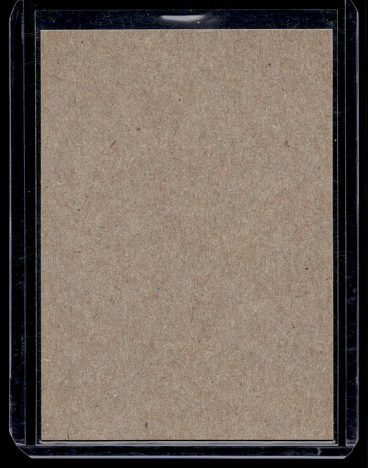 2014-15 O-Pee-Chee - Retro Blank Backs - Sami Salo #487