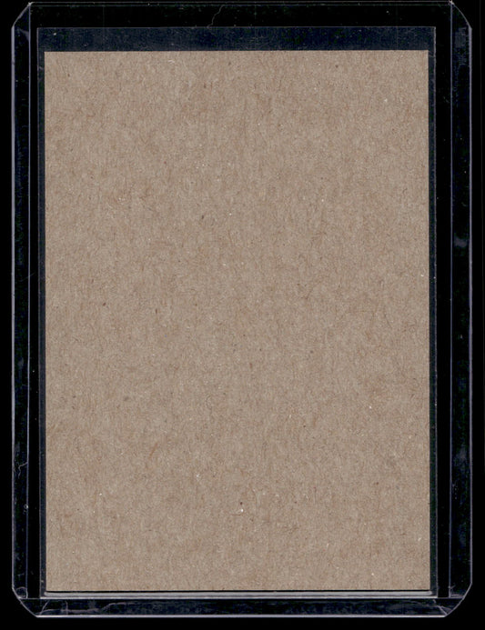 2018-19 O-Pee-Chee - Retro Blank Back - Season Highlights - Roberto Luongo #553