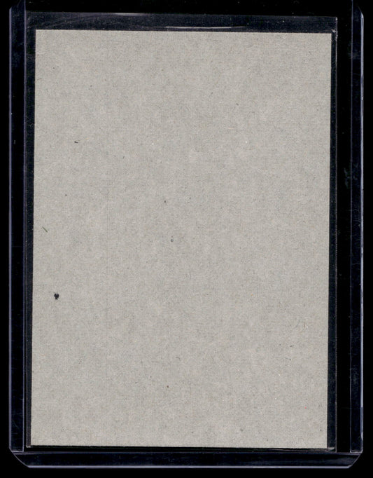 2010-11 O-Pee-Chee - Retro Blank Backs - Mikko Koivu #369
