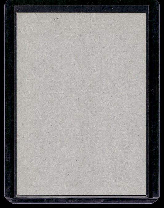 2011-12 O-Pee-Chee - Retro Blank Backs - Sami Salo #187