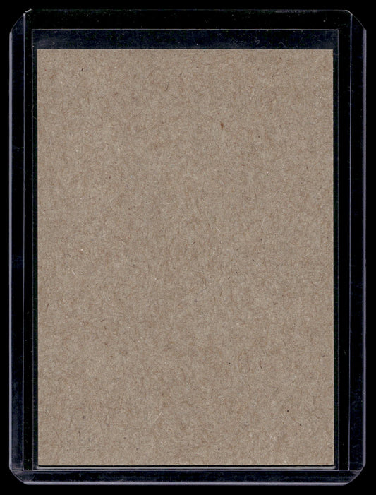 2016-17 O-Pee-Chee - Retro Blank Backs - Teemu Pulkkinen #326