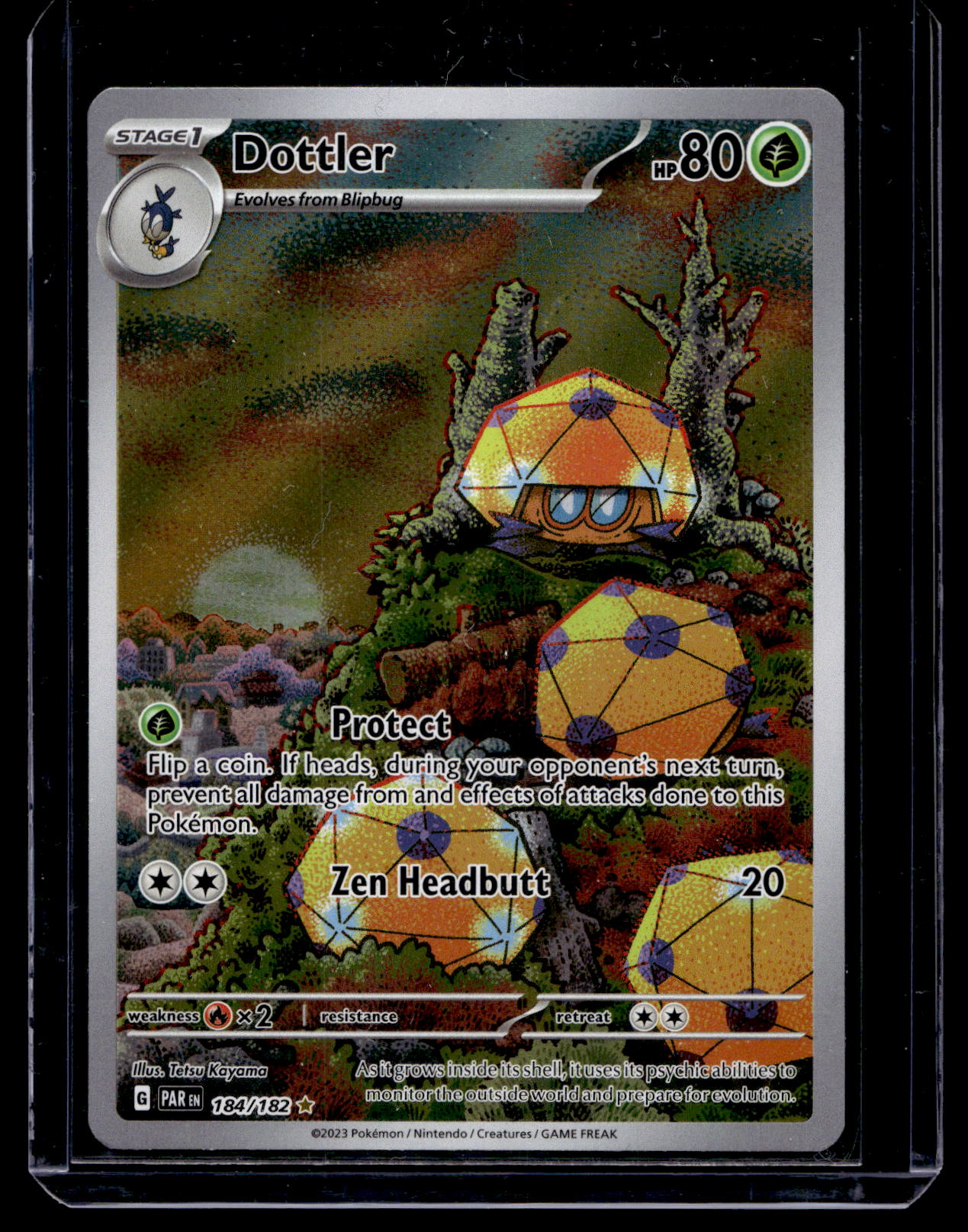 2023 Pokemon - Scarlet & Violet - Paradox Rift - Illustration Rare - Dottler #184