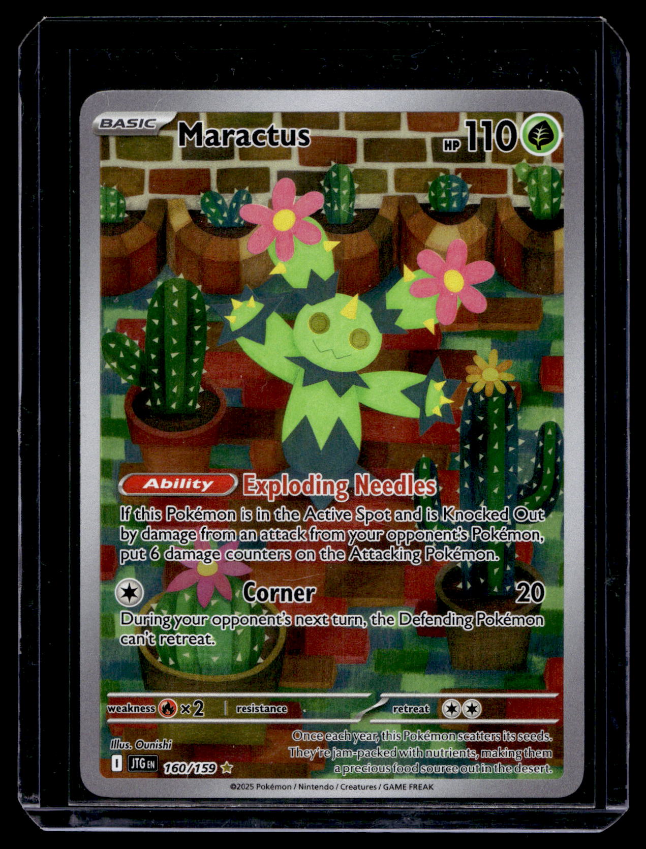 2025 Pokemon - Scarlet & Violet - Journey Together - Illustration Rare - Maractus #160