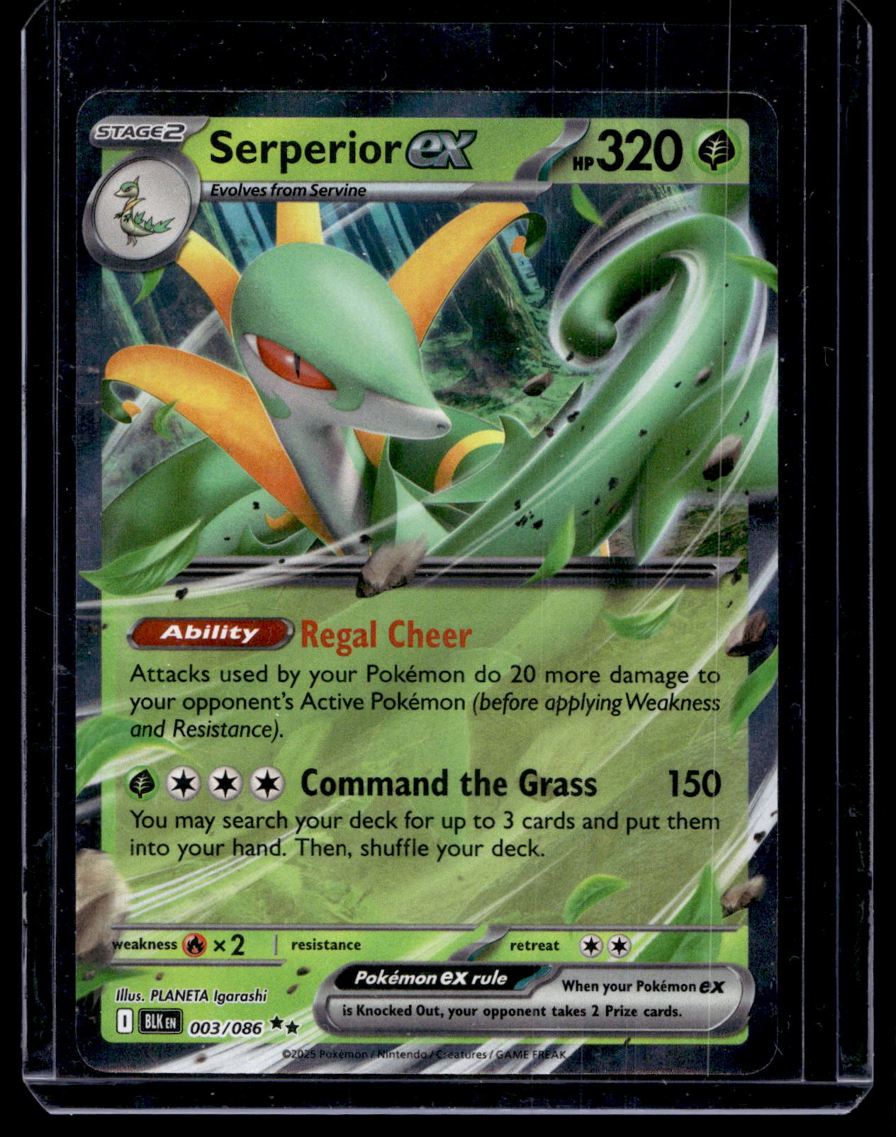 2025 Pokemon - Scarlet & Violet - Black Bolt - Serperior ex #003
