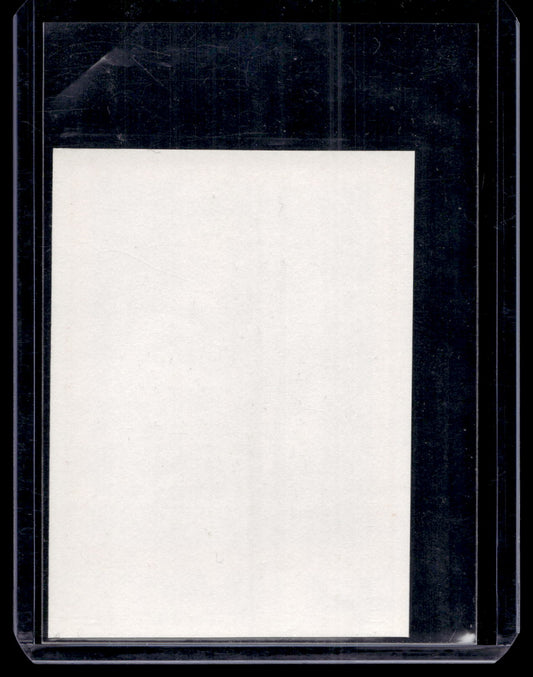 1991 Semic Blank Back - Raimo Helminen #24