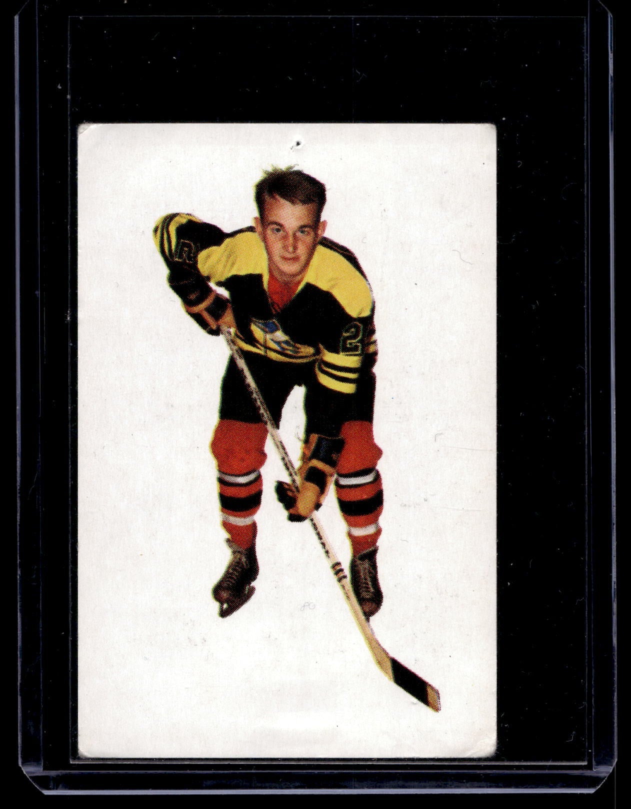 1966 Champion Jääkiekkosarja