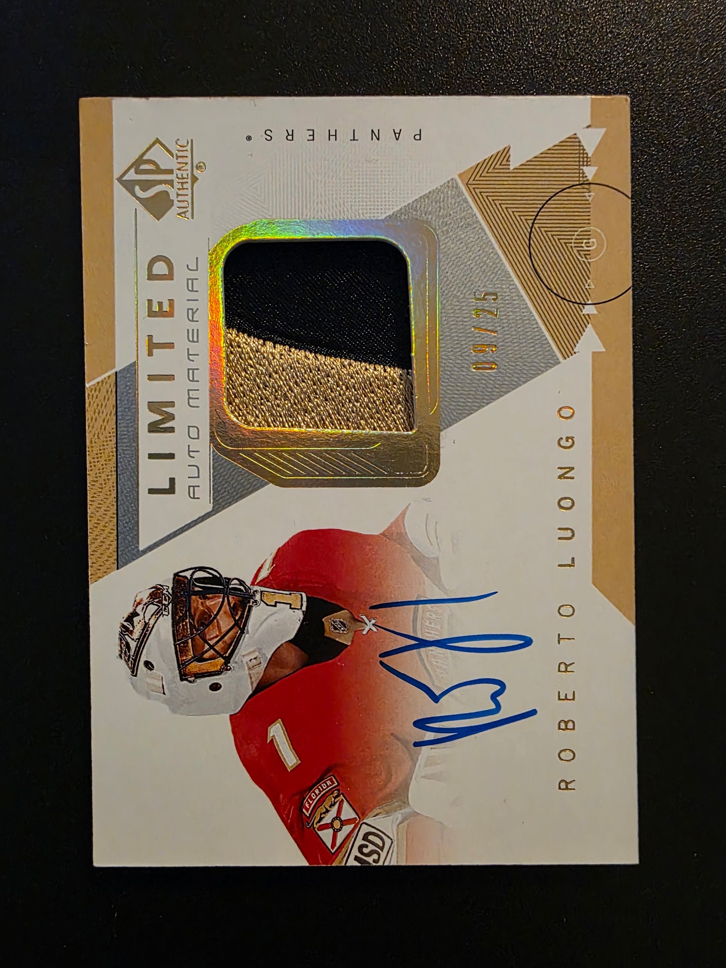 2018-19 Upper Deck SP Authentic - Limited Auto Material - Roberto Luongo #61 /25