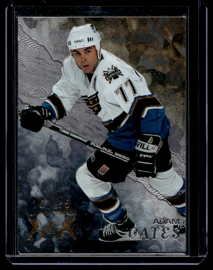 1998-99 In the Game Be A Player - Toronto Spring Expo - Adam Oates #296 /25