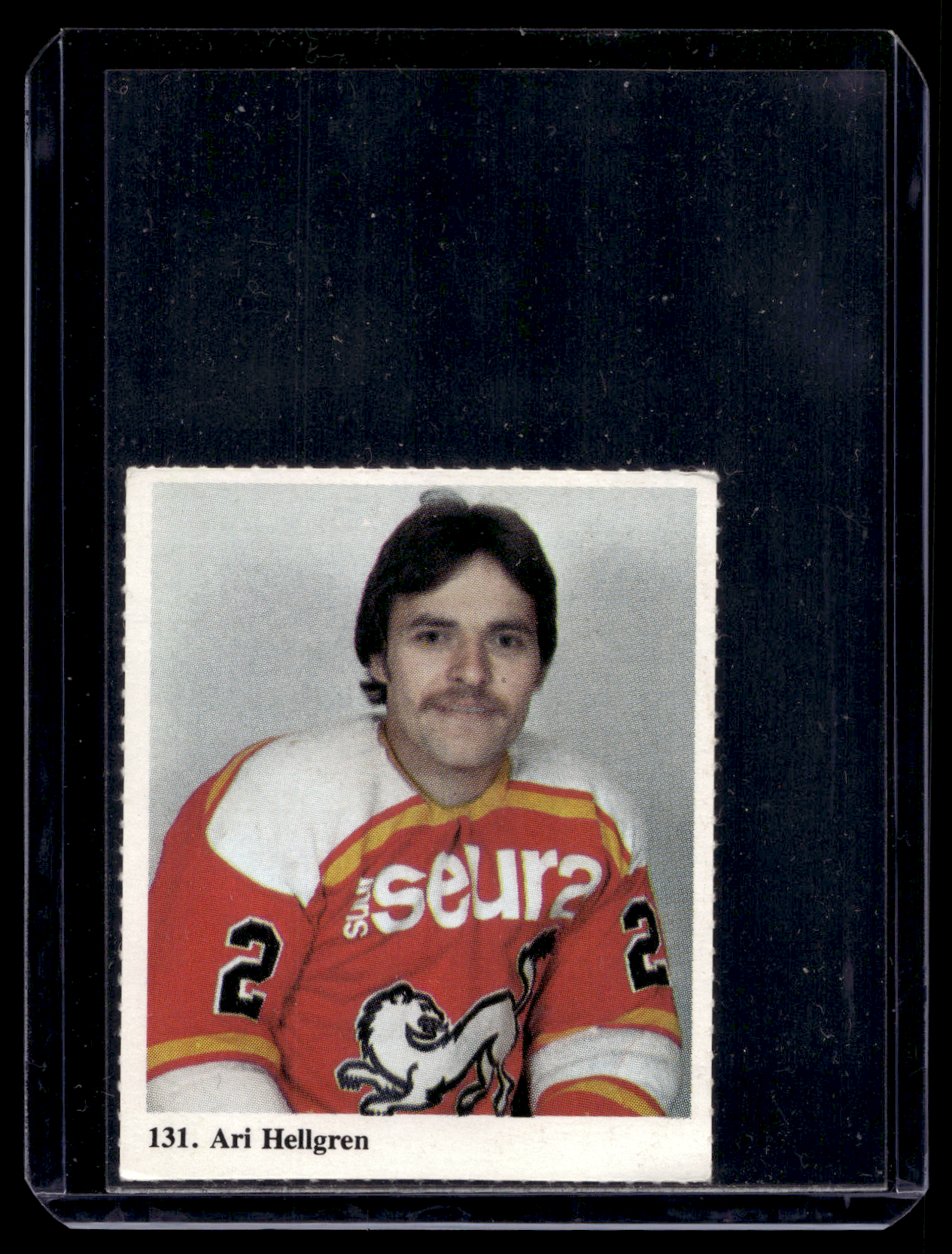 1978-79 Kiekkoilijat kuvina - Ari Hellgren #131