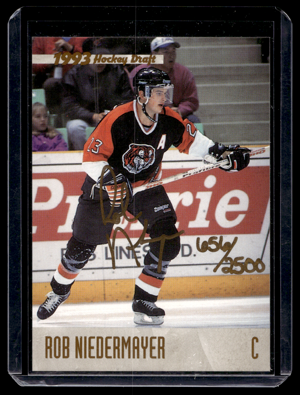 1993-94 Classic Draft - Autographs - Gold - Rob Niedermayer /2500