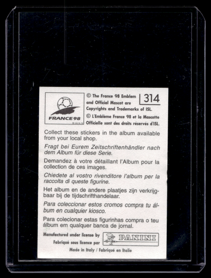 1998 Panini France 98 Album Stickers - Dennis Bergkamp #314