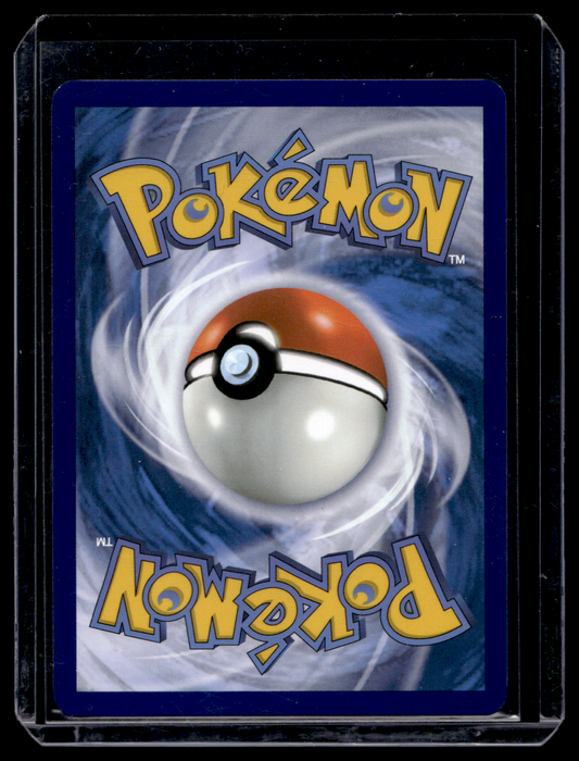 2025 Pokemon - Scarlet & Violet - Black Bolt - Illustration Rare - Petilil #91