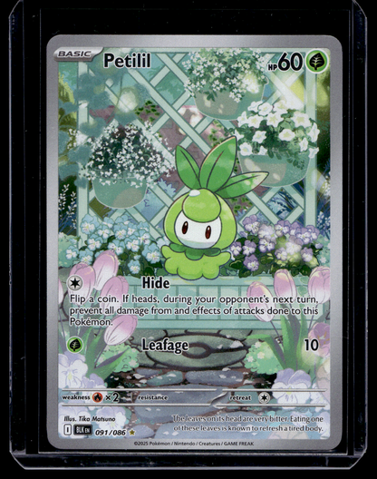 2025 Pokemon - Scarlet & Violet - Black Bolt - Illustration Rare - Petilil #91