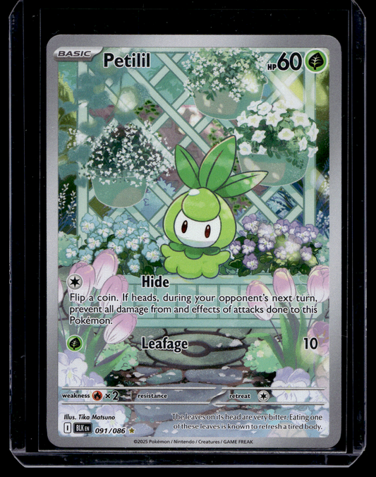 2025 Pokemon - Scarlet & Violet - Black Bolt - Illustration Rare - Petilil #91