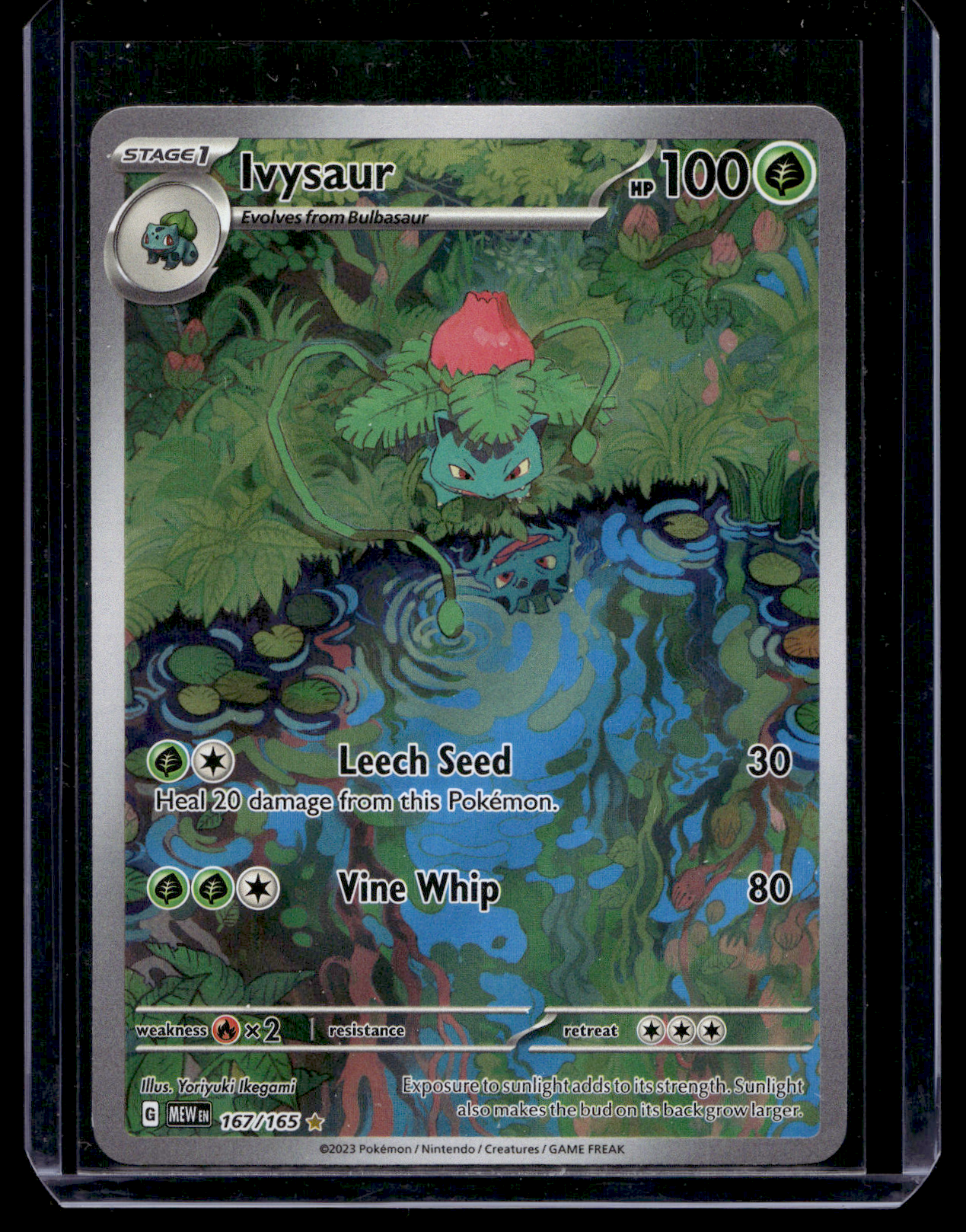 2023 Pokemon - Scarlet & Violet - 151 - Illustration Rare - Ivysaur #167