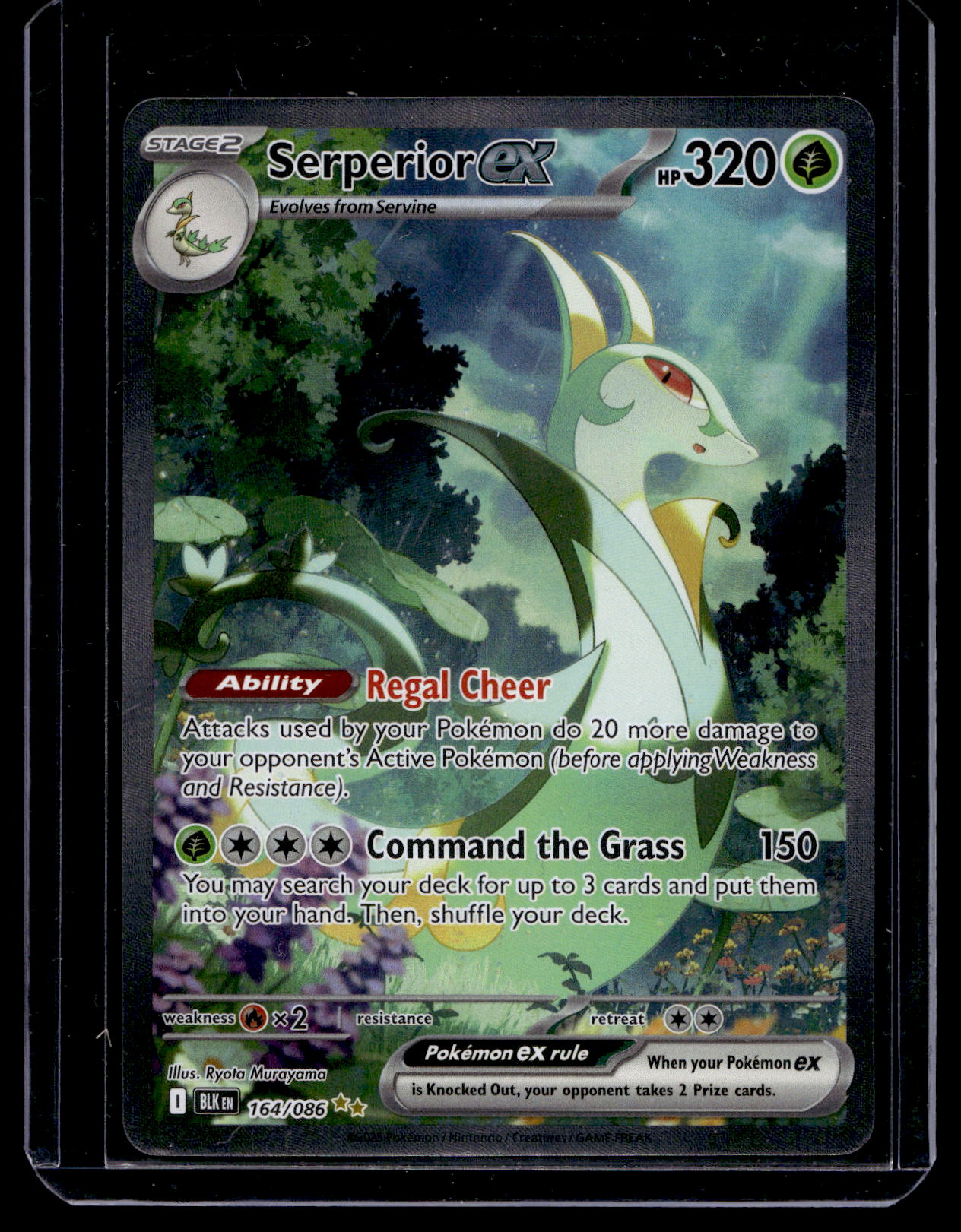 2025 Pokemon - Scarlet & Violet - Black Bolt - Special Illustration Rare - Serperior ex #164