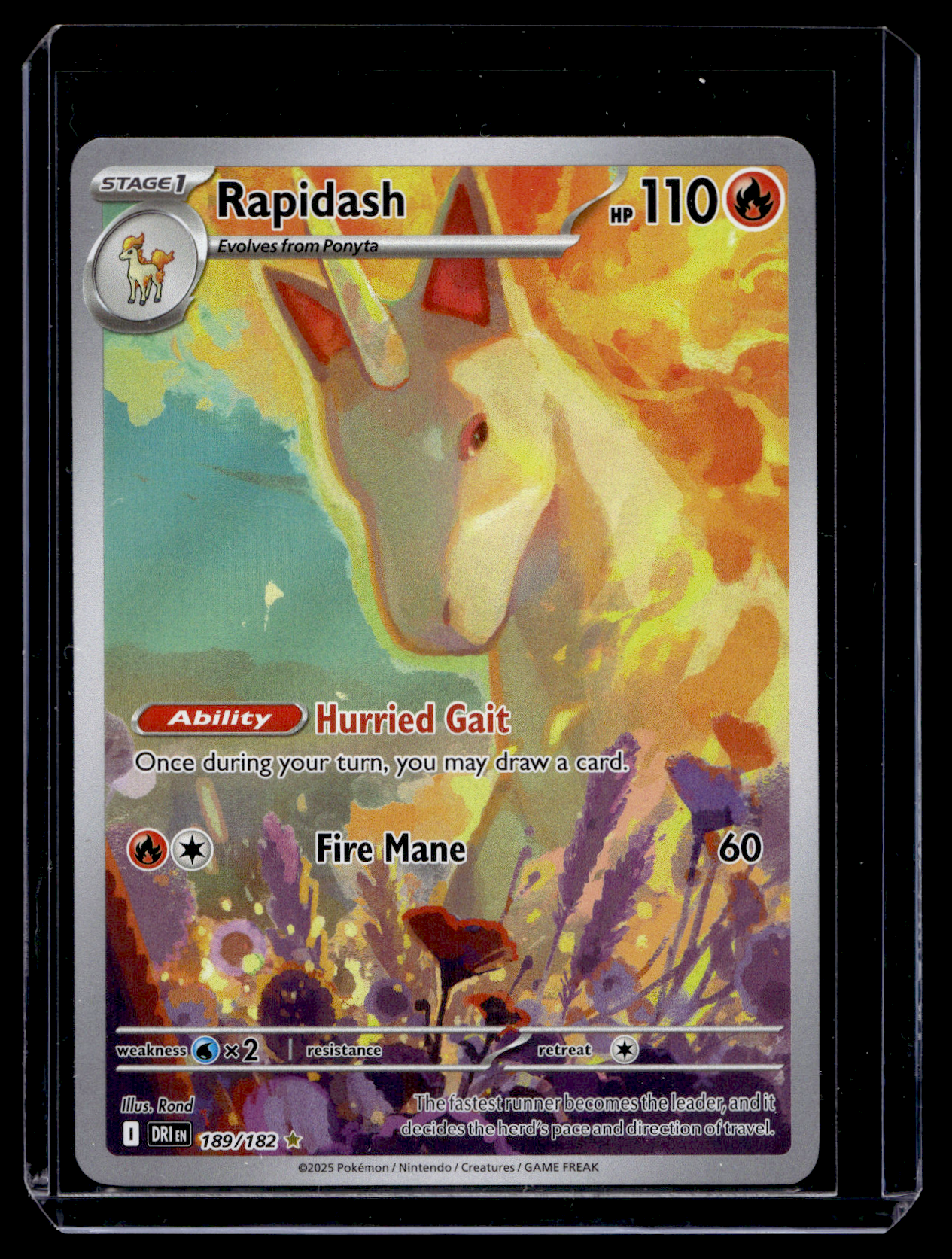 2025 Pokemon Scarlet & Violet - Destined Rivals - Illustration Rare - Rapidash #189