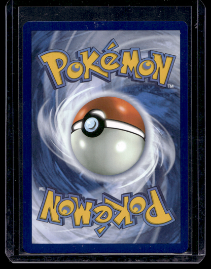 2023 Pokemon - Scarlet & Violet - Paradox Rift - Illustration Rare - Yveltal #205