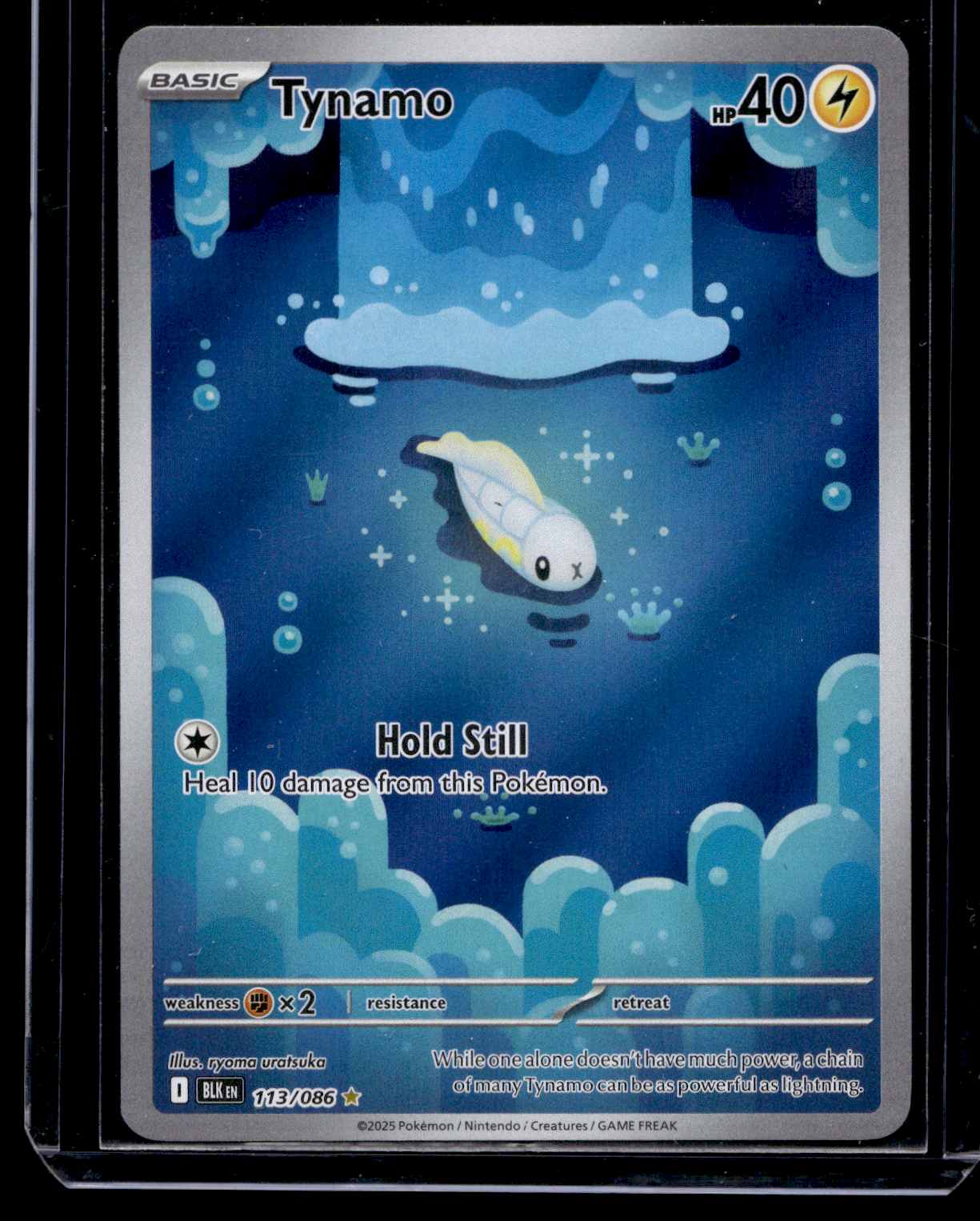 2025 Pokemon - Scarlet & Violet - Black Bolt - Illustration Rare - Tynamo #113