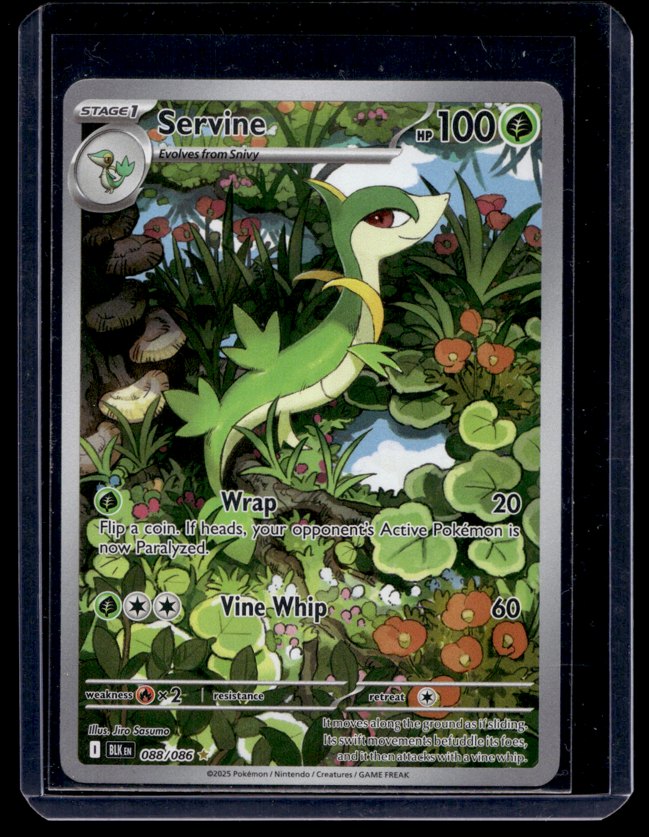 2025 Pokemon - Scarlet & Violet - Black Bolt - Illustration Rare - Servine #088