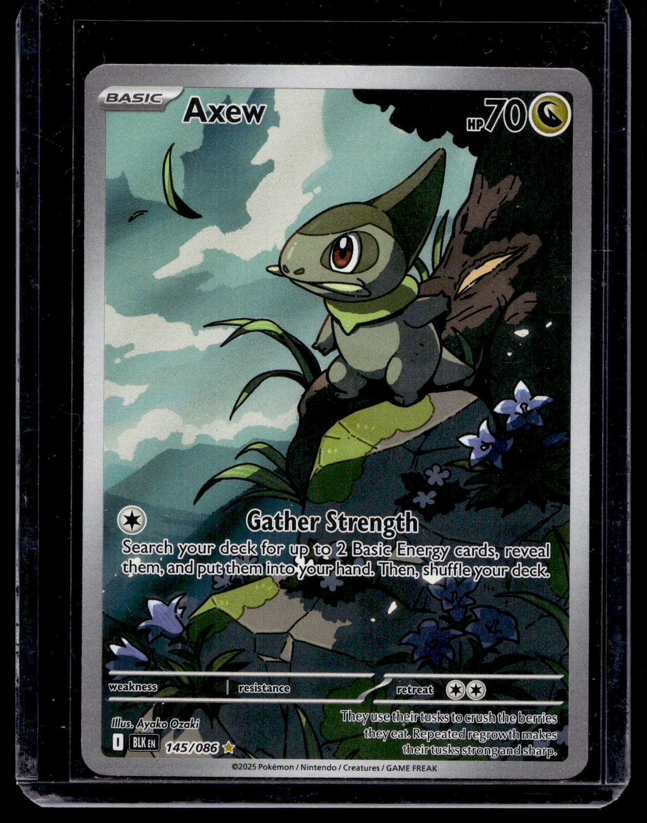 2025 Pokemon - Scarlet & Violet - Black Bolt - Illustration Rare - Axew #145