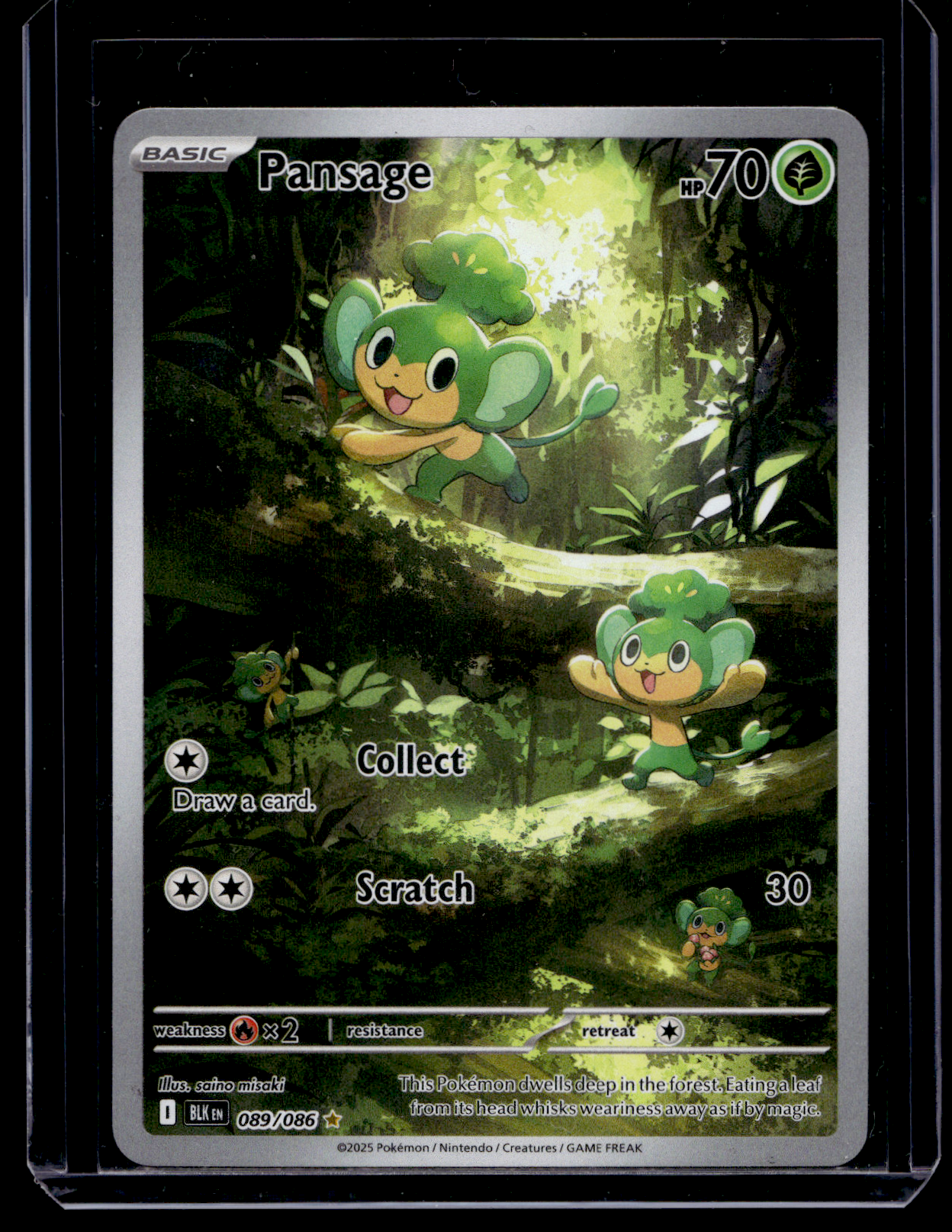 2025 Pokemon - Scarlet & Violet - Black Bolt - Illustration Rare - Pansage #089