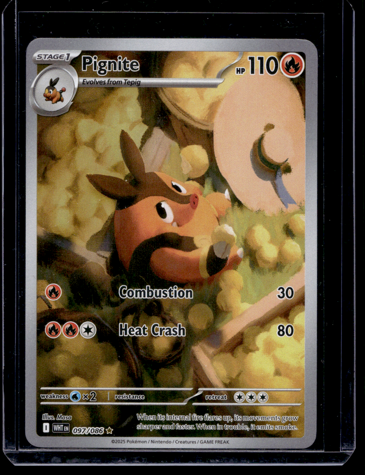 2025 Pokemon Scarlet & Violet - White Flare - Illustration Rare - Pignite #097