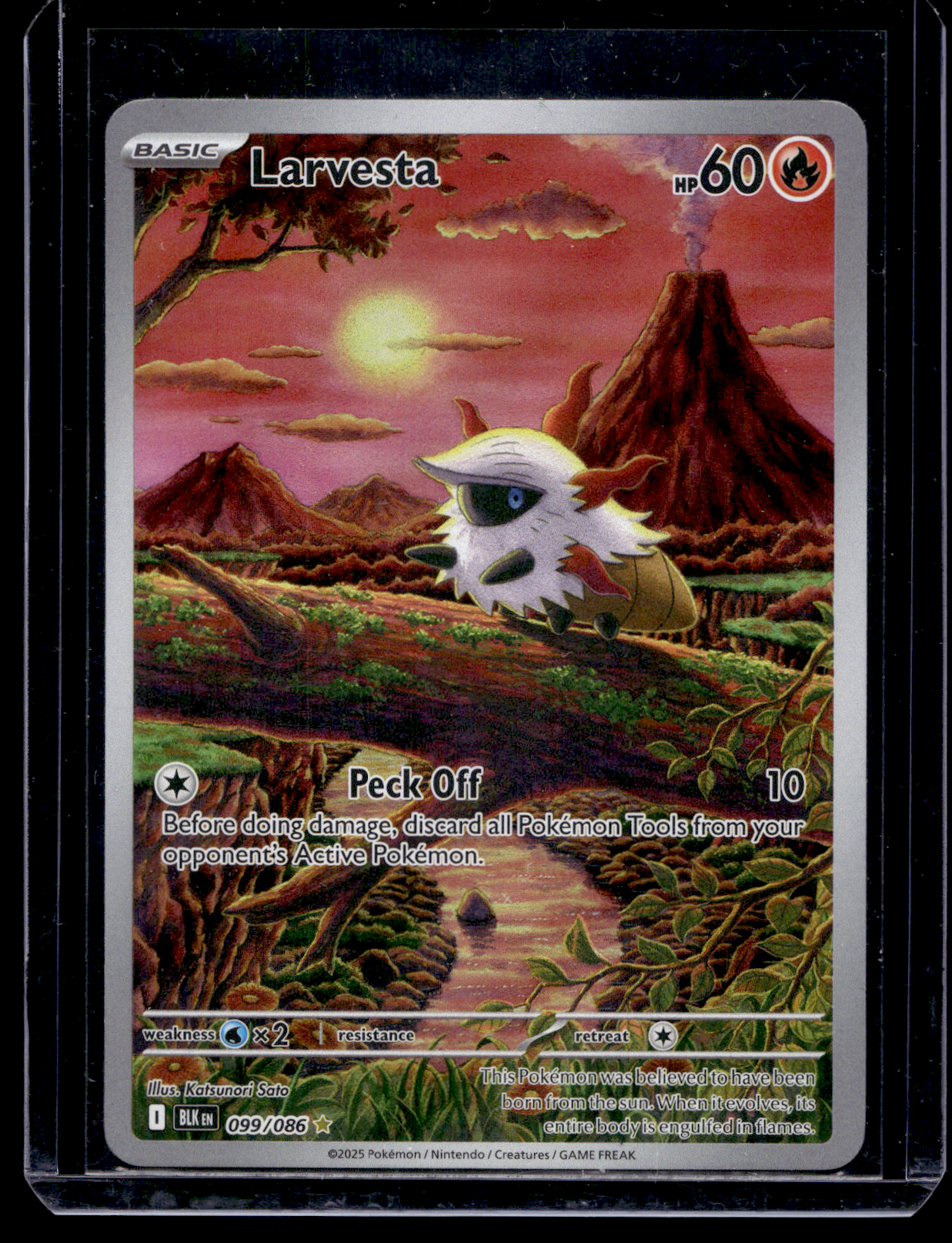 2025 Pokemon - Scarlet & Violet - Black Bolt - Illustration Rare - Larvesta #099