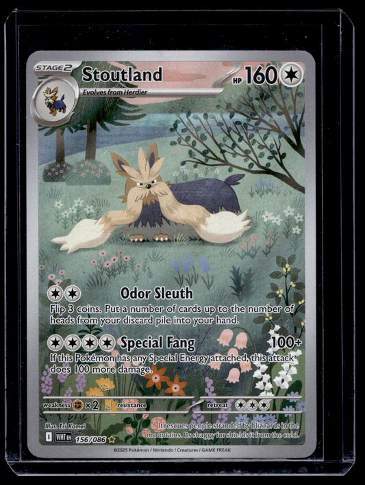 2025 Pokemon Scarlet & Violet - White Flare - Illustration Rare - Stoutland #156