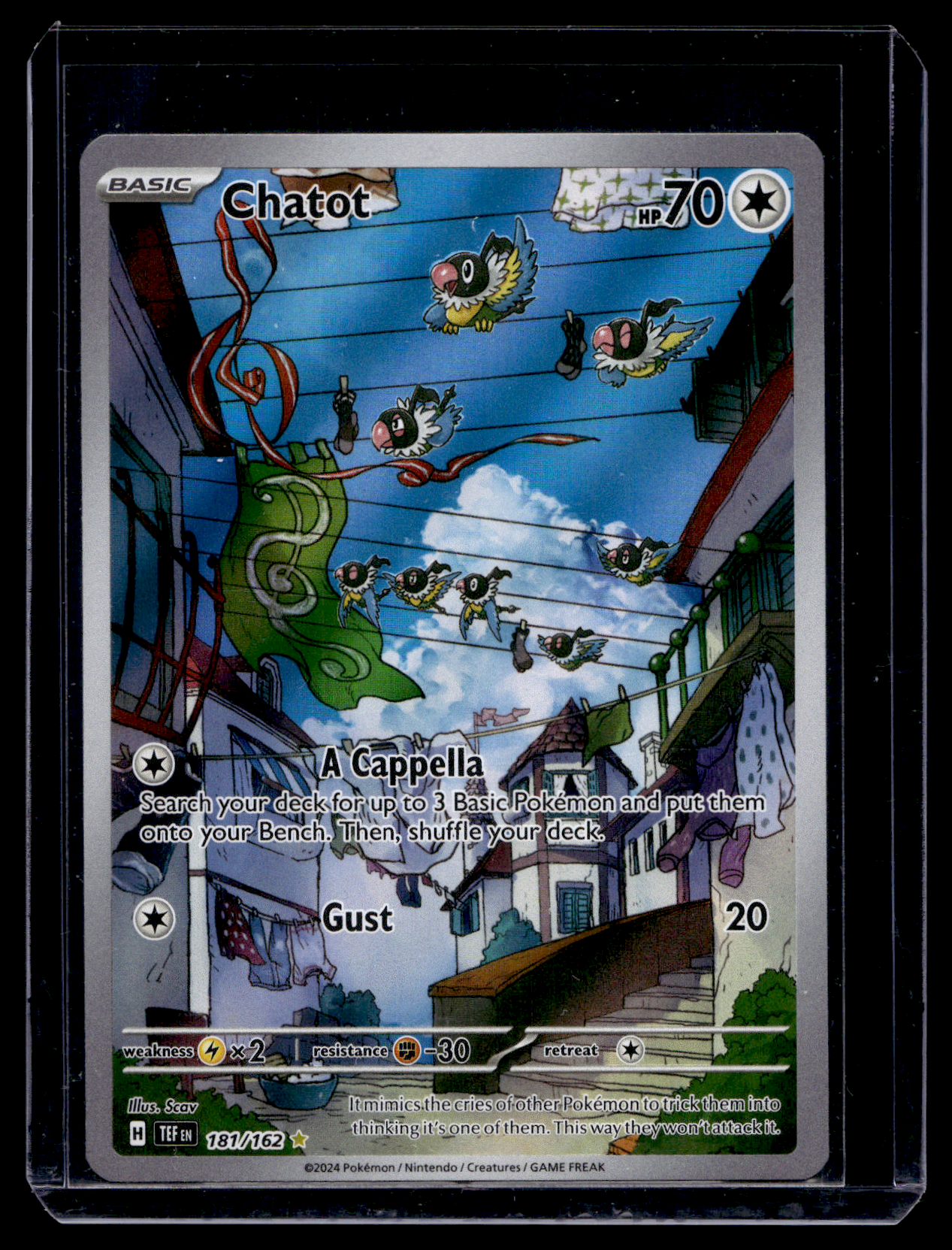 2024 Pokemon - Sword & Shield - Temporal Forces - Illustration Rare - Chatot #181