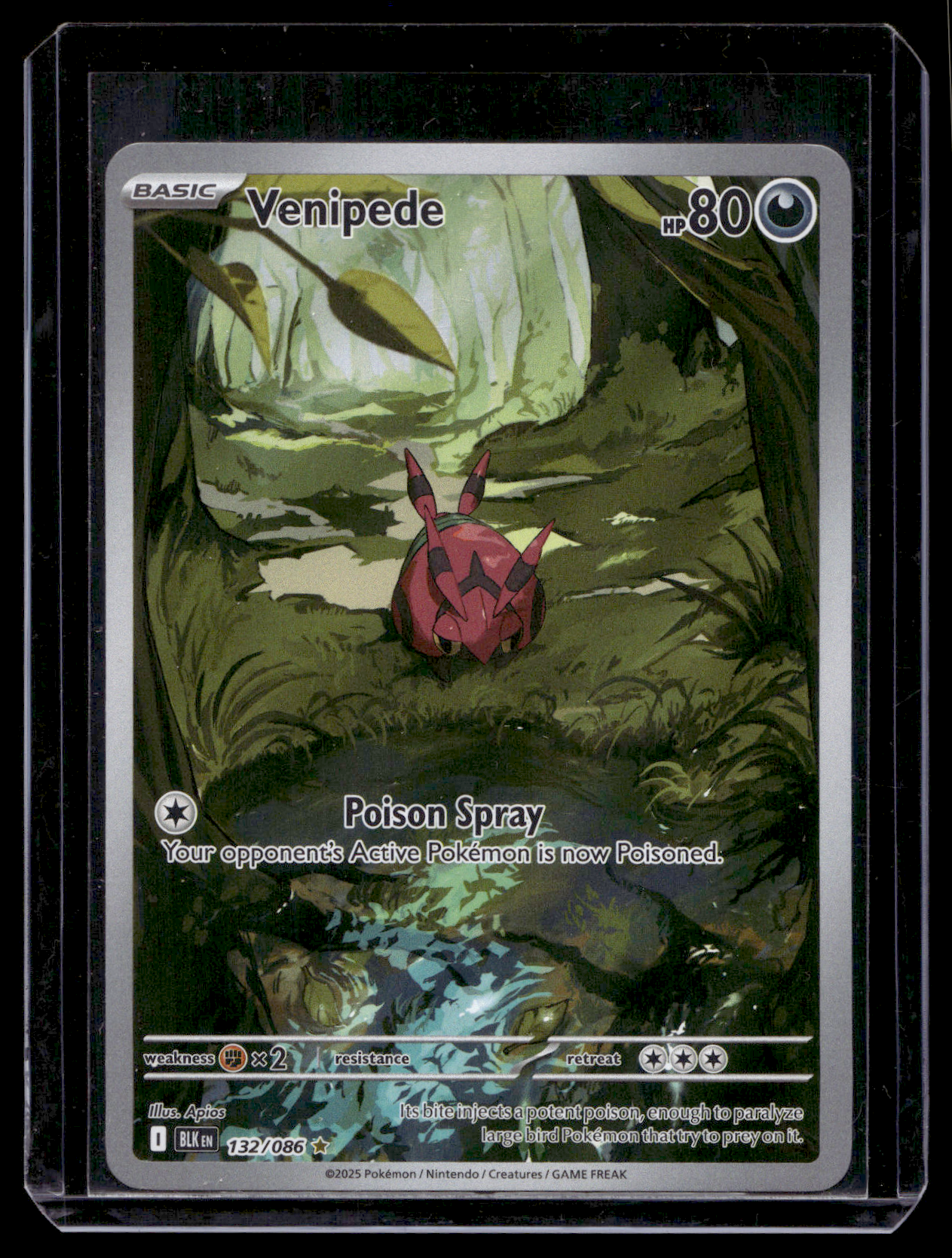 2025 Pokemon - Scarlet & Violet - Black Bolt - Illustration Rare - Venipede #132