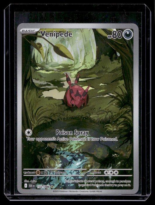2025 Pokemon - Scarlet & Violet - Black Bolt - Illustration Rare - Venipede #132