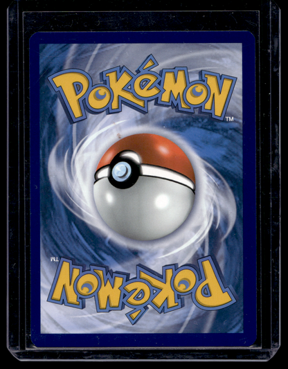 2022 Pokemon - Sword & Shield - Black Star Promos - Promos - Arceus V #SWSH204