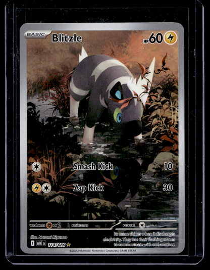 2025 Pokemon Scarlet & Violet - White Flare - Illustration Rare - Blitzle #114