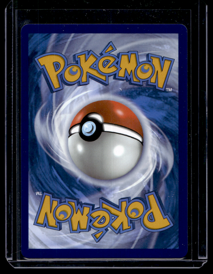 2025 Pokemon - Scarlet & Violet - Black Star Promos - Promos - Cynthia's Garchomp ex #204