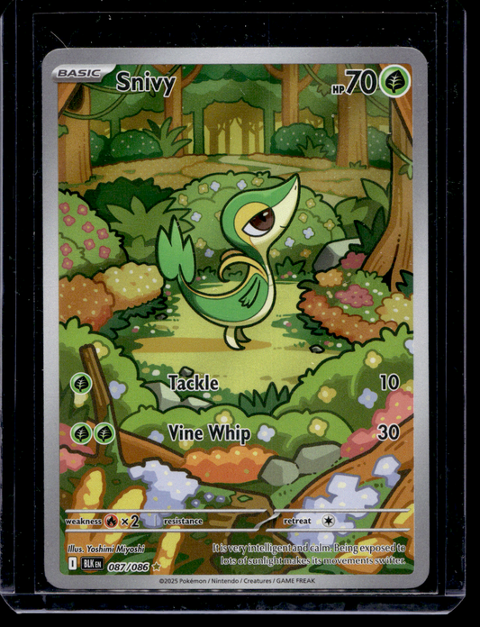 2025 Pokemon - Scarlet & Violet - Black Bolt - Illustration Rare - Snivy #087