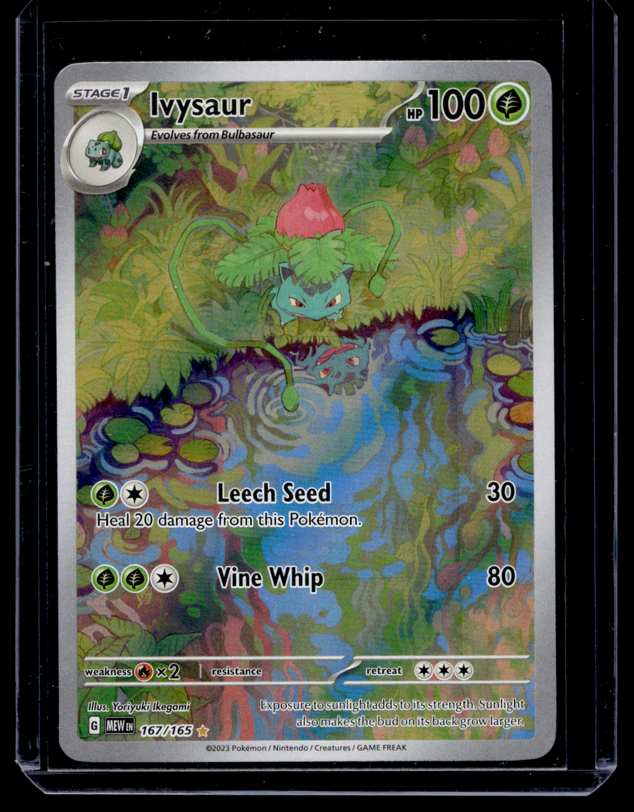 2023 Pokemon - Scarlet & Violet - 151 - Illustration Rare - Ivysaur #167