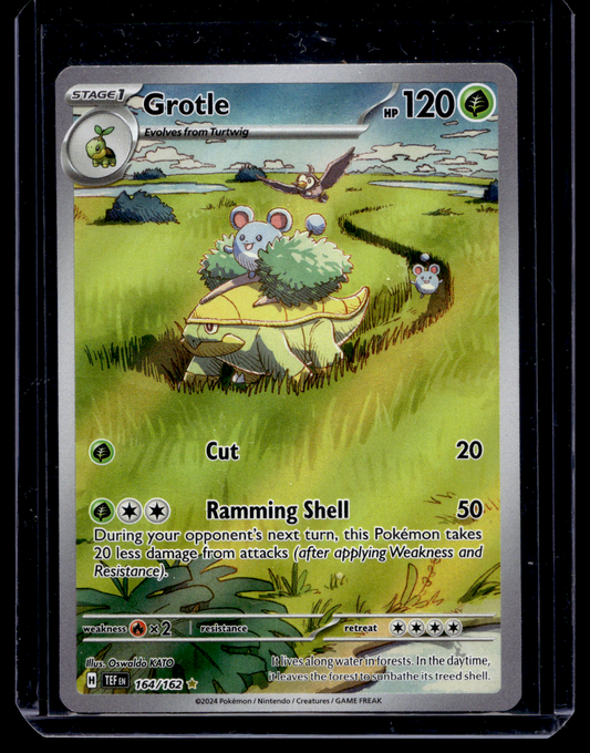 2024 Pokemon - Sword & Shield - Temporal Forces - Illustration Rare - Grotle #164