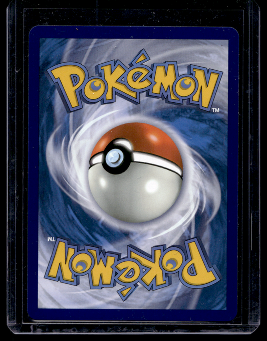 2025 Pokemon - Mega Evolutions - Illustration Rare - Garganacl #147