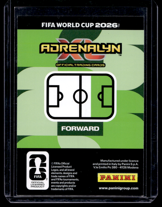 2026 Panini Adrenalyn XL FIFA World Cup - Icon - Erling Haaland #336