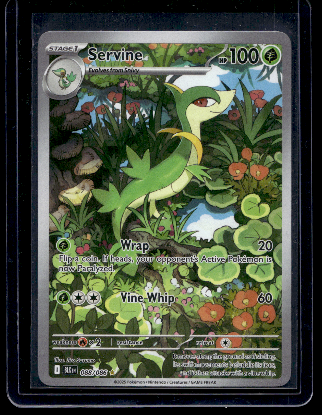 2025 Pokemon - Scarlet & Violet - Black Bolt - Illustration Rare - Servine #088