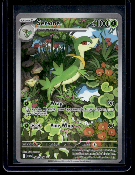 2025 Pokemon - Scarlet & Violet - Black Bolt - Illustration Rare - Servine #088