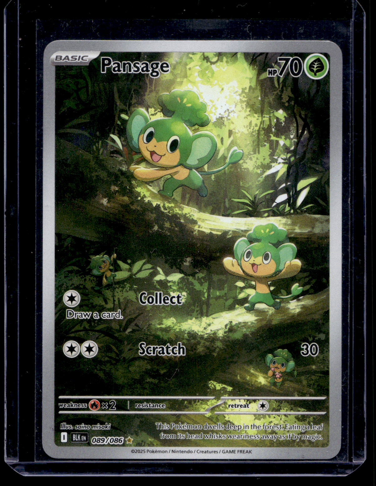 2025 Pokemon - Scarlet & Violet - Black Bolt - Illustration Rare - Pansage #089