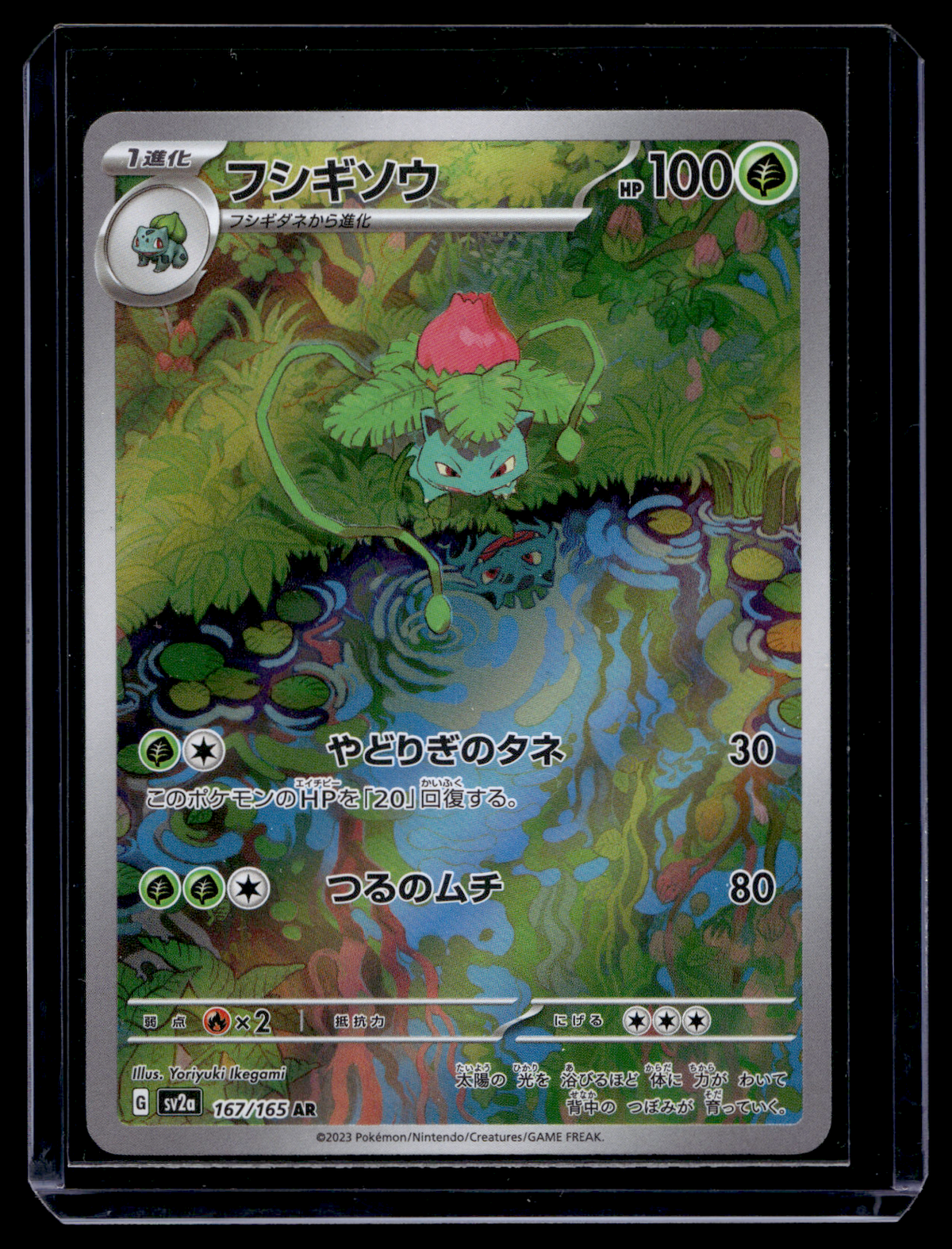 2023 Pokemon Scarlet & Violet - 151 - Japanese - Art Rare - Ivysaur #167
