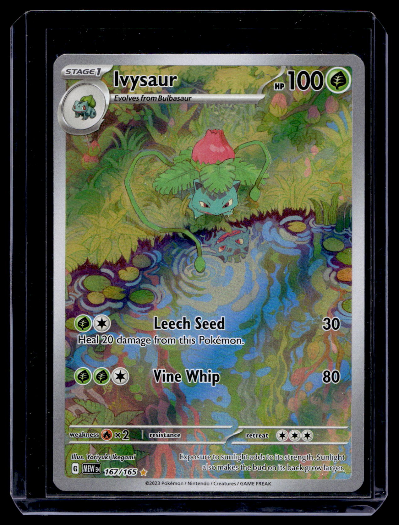 2023 Pokemon - Scarlet & Violet 151 - Illustration Rare - Ivysaur #167